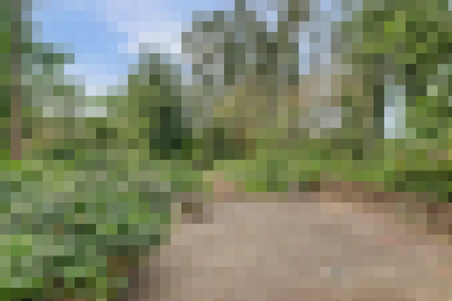Onderwaard 6 a Ammerzoden thumbnail 74