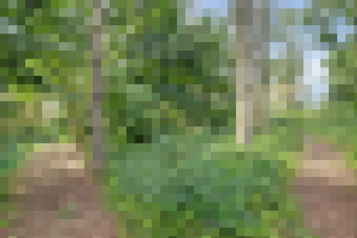 Onderwaard 6 a Ammerzoden thumbnail 76