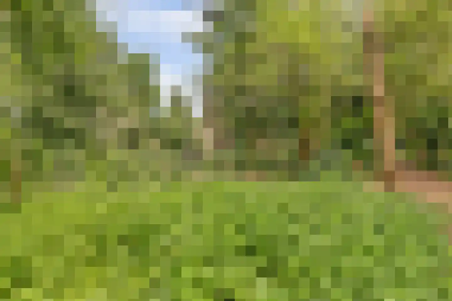 Onderwaard 6 a Ammerzoden thumbnail 77