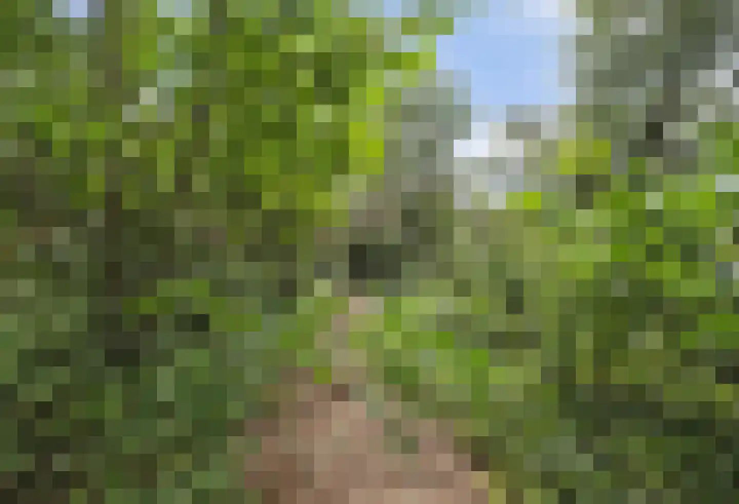 Onderwaard 6 a Ammerzoden thumbnail 78