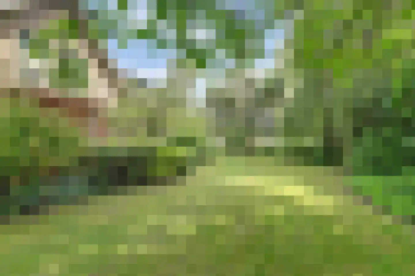 Onderwaard 6 a Ammerzoden thumbnail 81