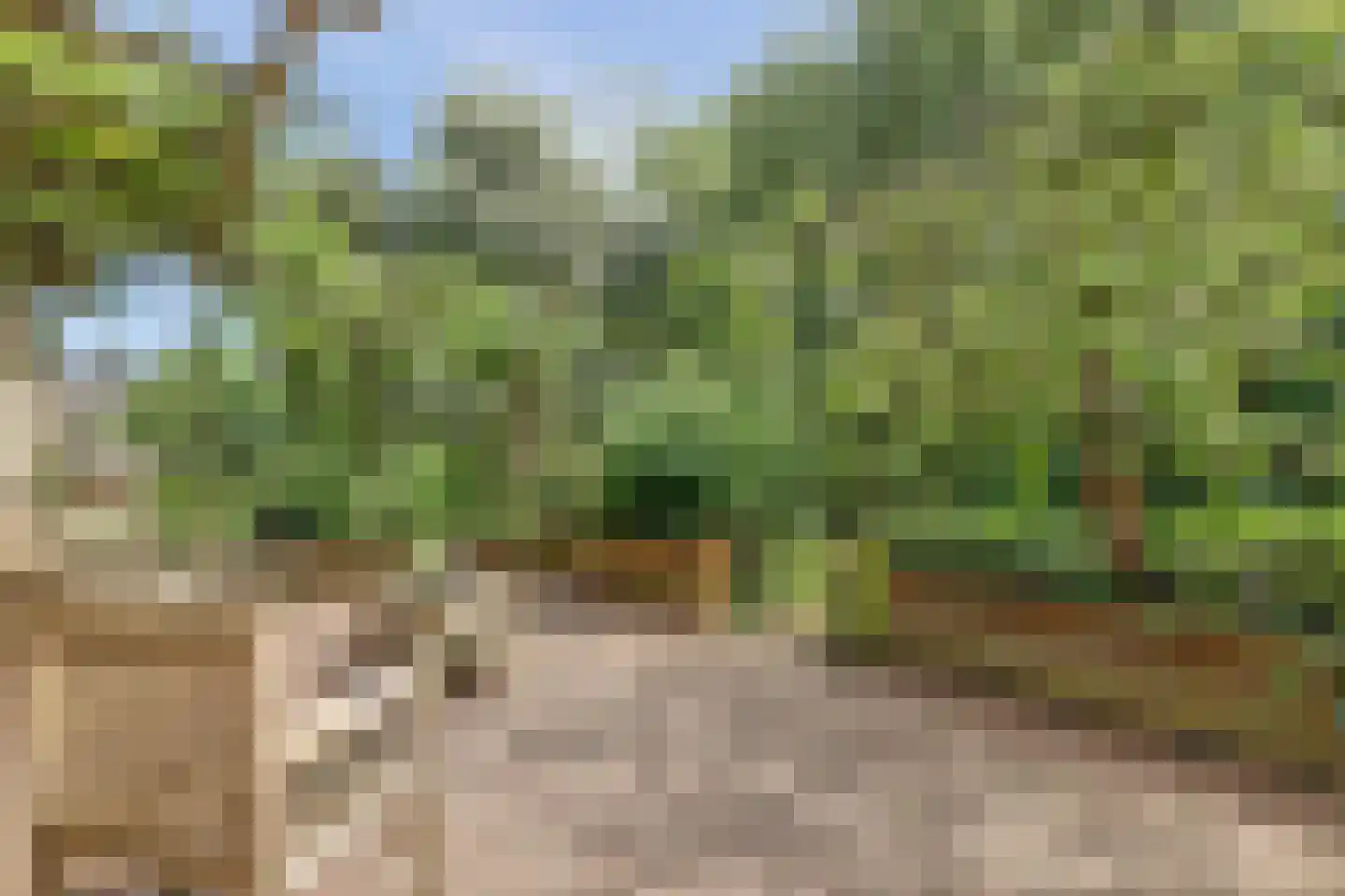 Onderwaard 6 a Ammerzoden thumbnail 82