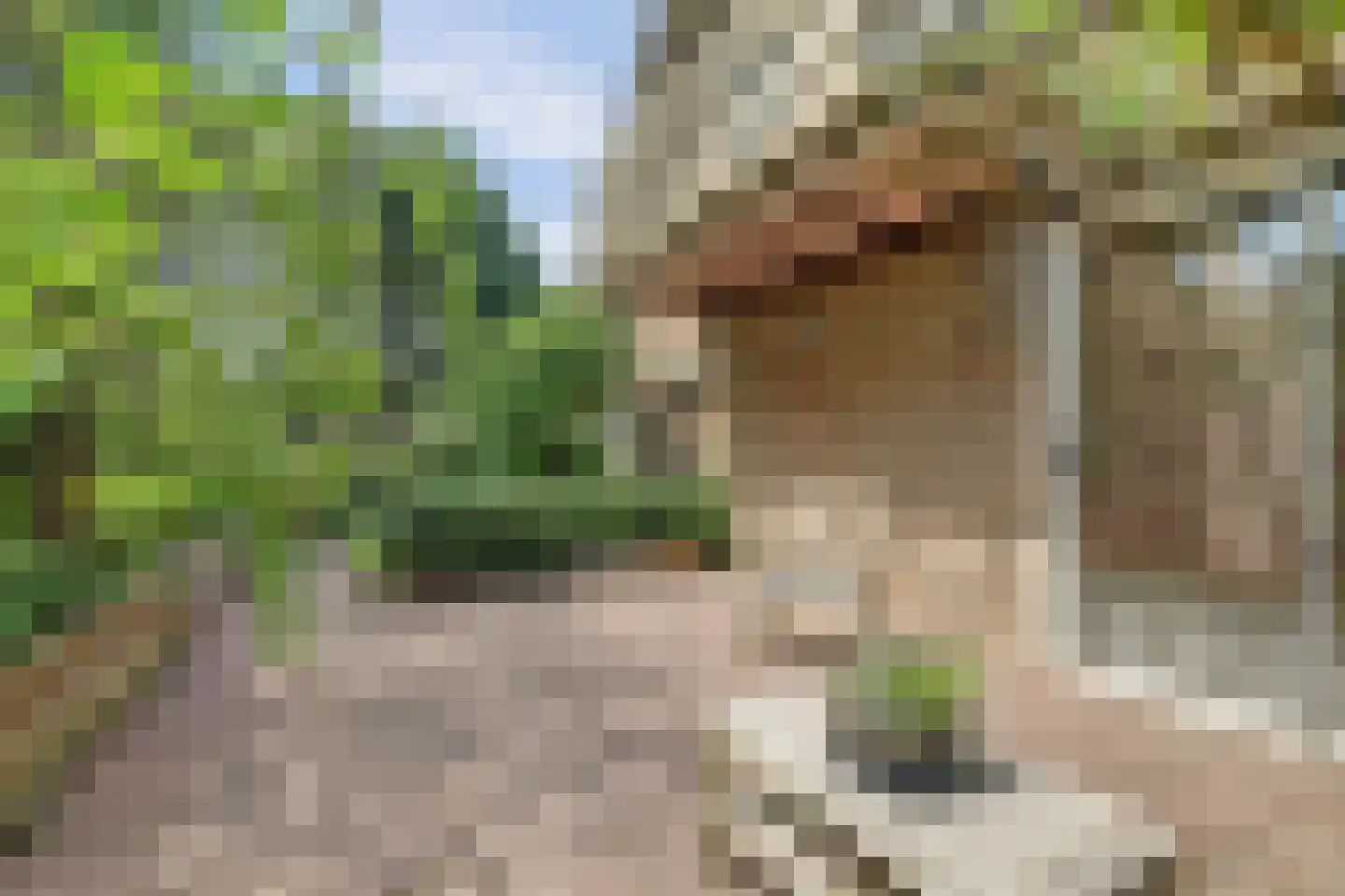 Onderwaard 6 a Ammerzoden thumbnail 83