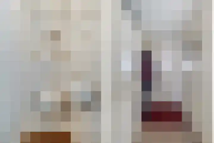 Onderweegshof 7 Lemmer thumbnail 12