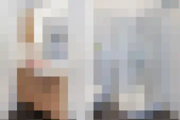 Onderweegshof 7 Lemmer thumbnail 25