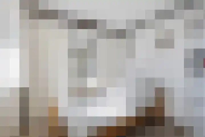 Onderweegshof 7 Lemmer thumbnail 28