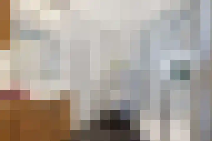 Onderweegshof 7 Lemmer thumbnail 4