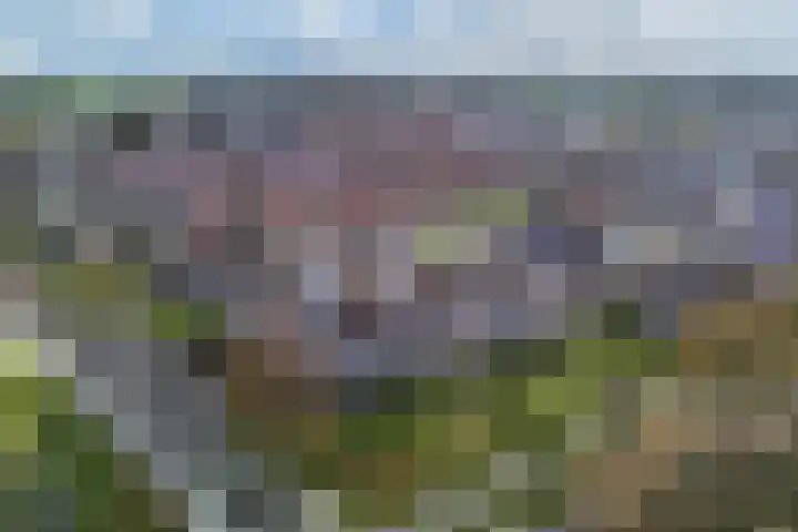 Onderweegshof 7 Lemmer thumbnail 40