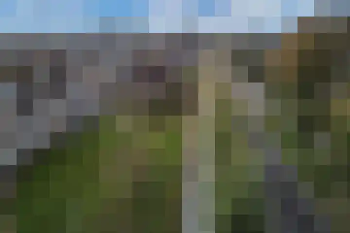 Onderweegshof 7 Lemmer thumbnail 41