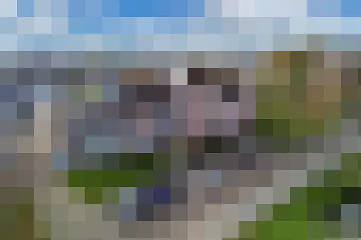 Onderweegshof 7 Lemmer thumbnail 42