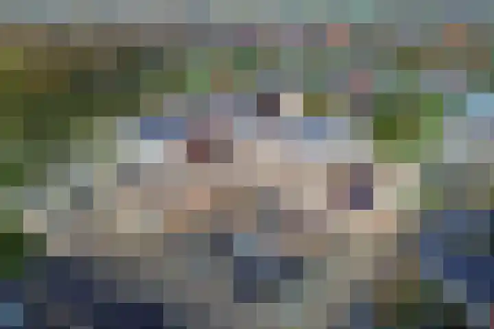 Onderweegshof 7 Lemmer thumbnail 5