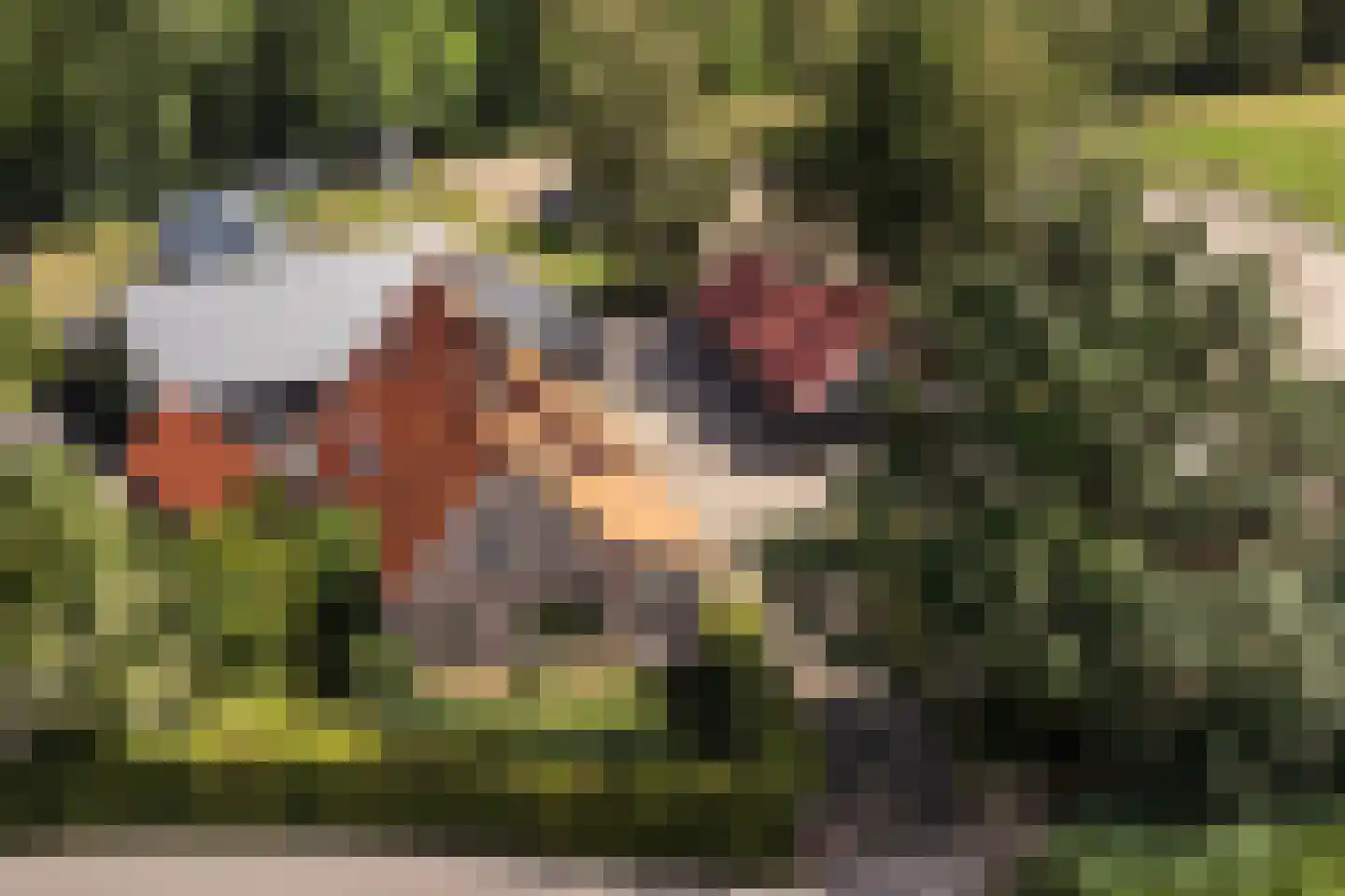 Onderweg 1 Ederveen thumbnail 54