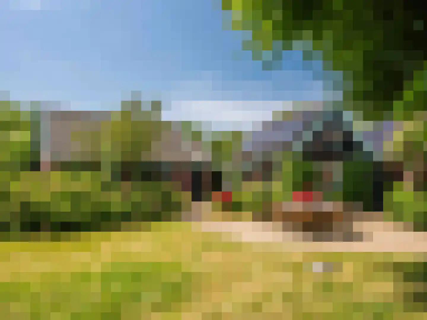 Onderweg 10 Schoorl thumbnail 10