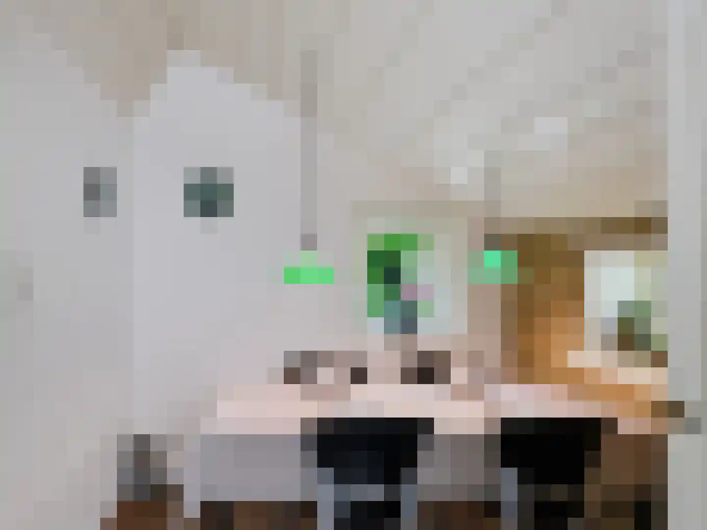 Onderweg 10 Schoorl thumbnail 16