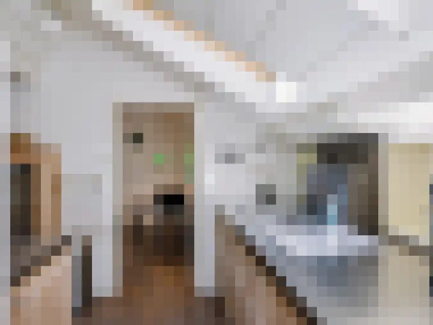 Onderweg 10 Schoorl thumbnail 17