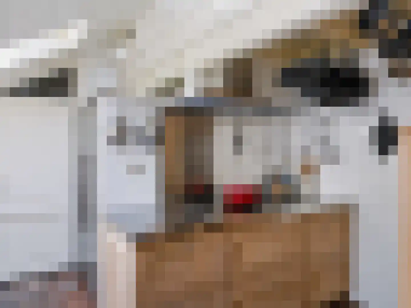 Onderweg 10 Schoorl thumbnail 18