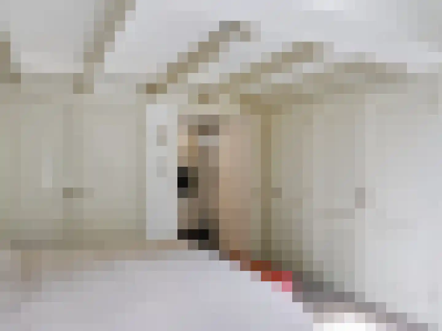 Onderweg 10 Schoorl thumbnail 19