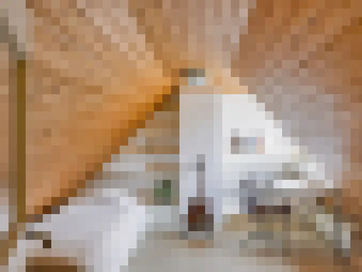 Onderweg 10 Schoorl thumbnail 31