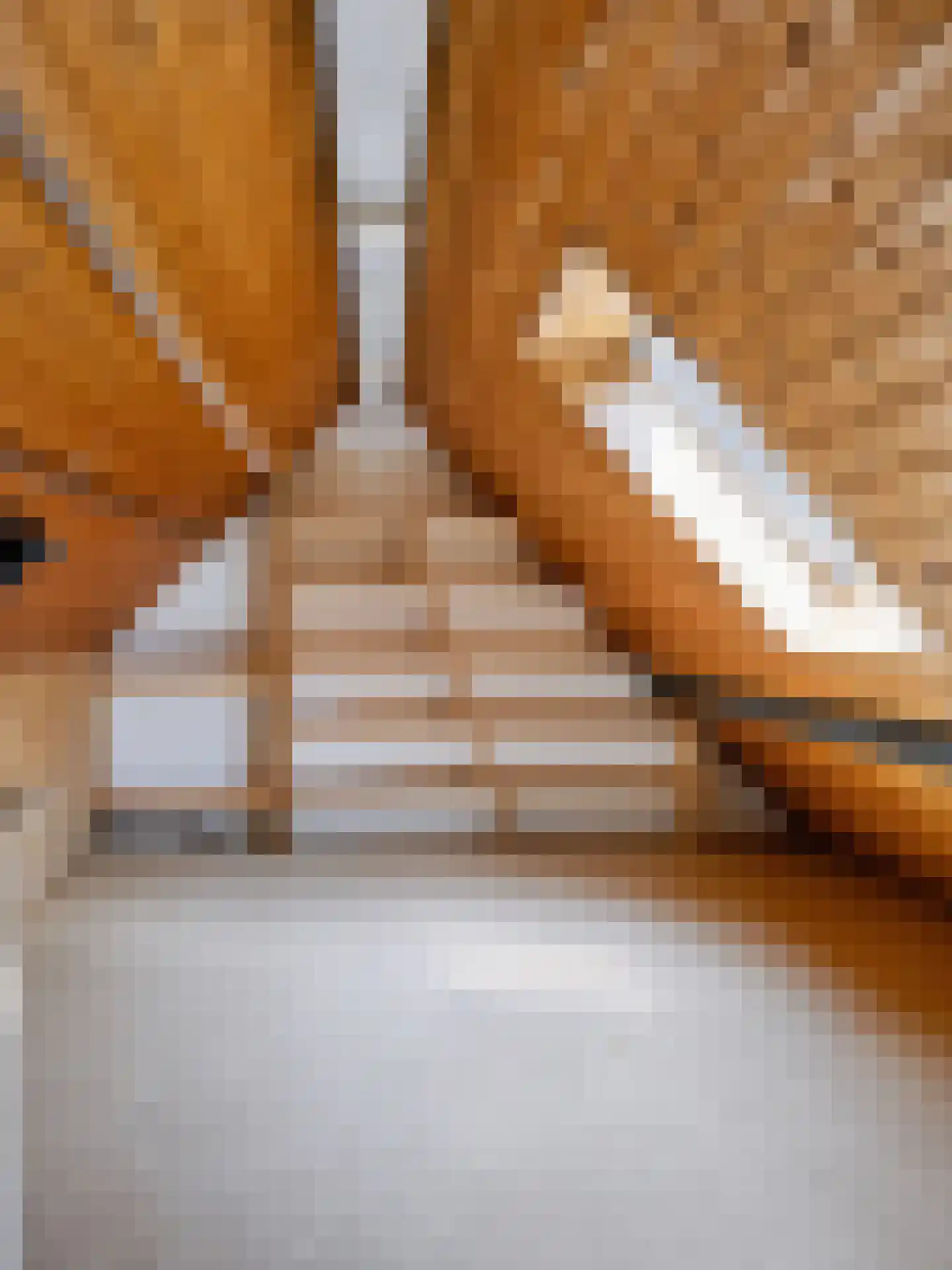 Onderweg 10 Schoorl thumbnail 33