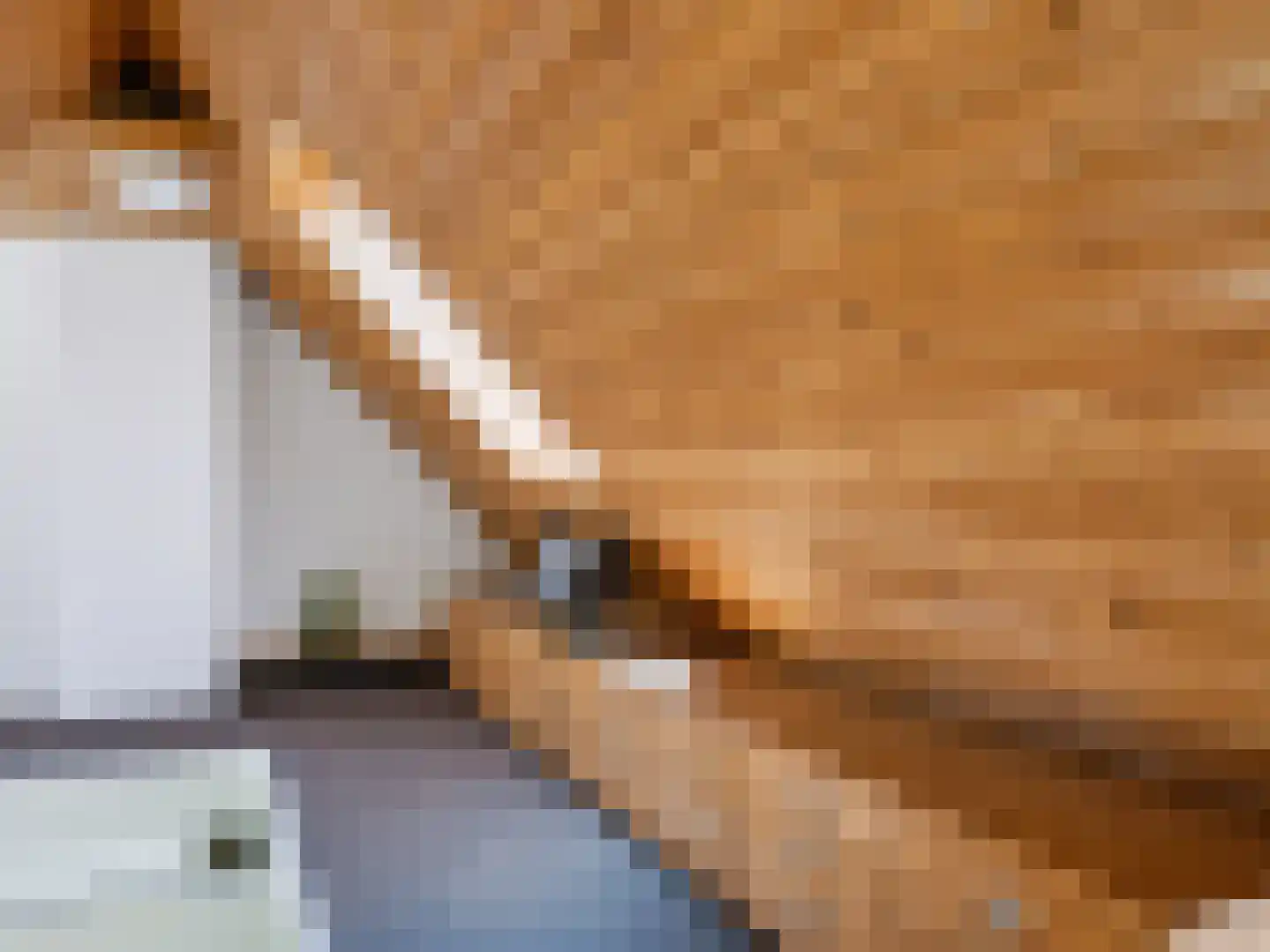 Onderweg 10 Schoorl thumbnail 34