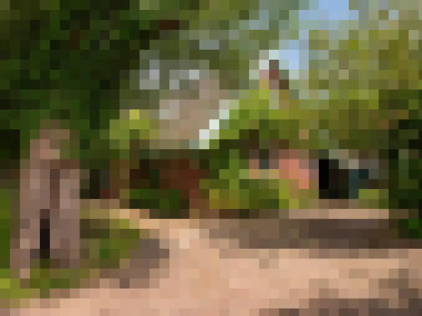 Onderweg 10 Schoorl thumbnail 37