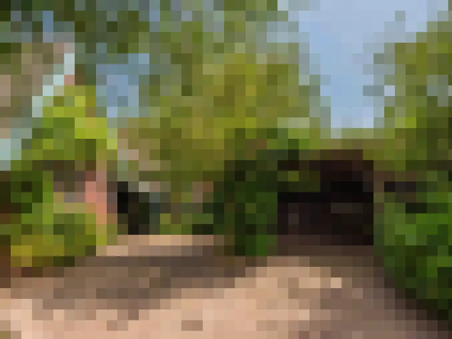 Onderweg 10 Schoorl thumbnail 38
