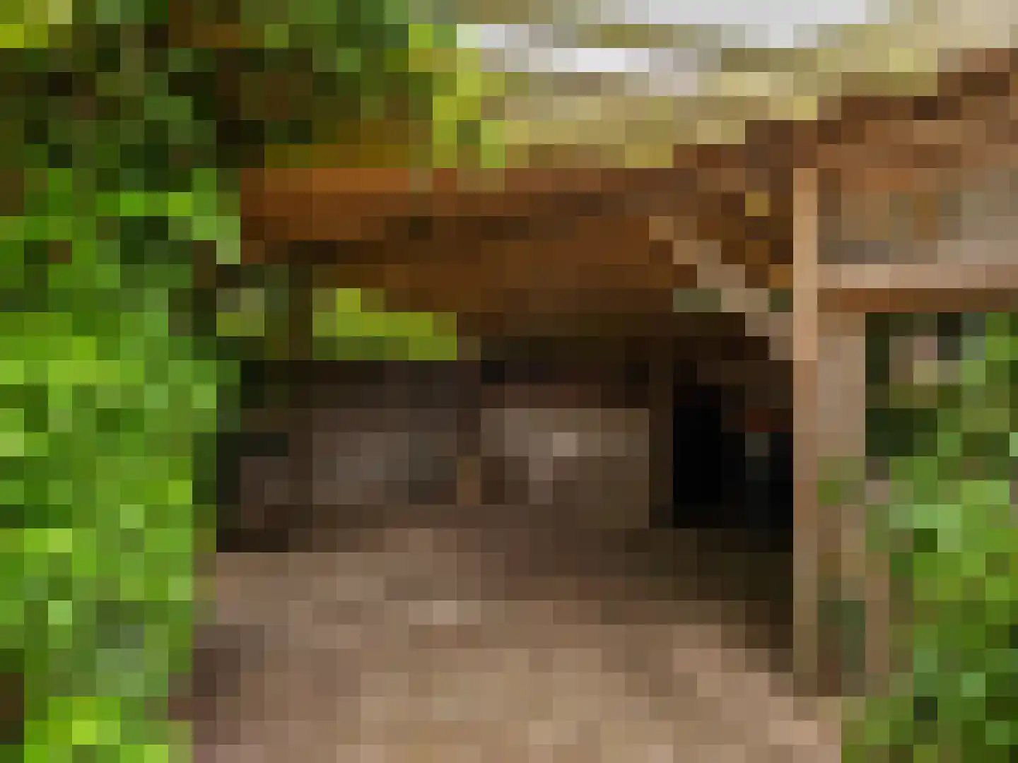 Onderweg 10 Schoorl thumbnail 39