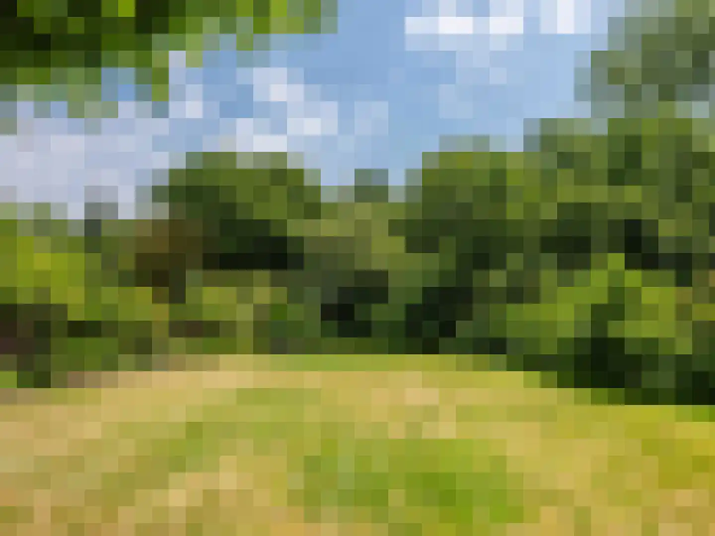 Onderweg 10 Schoorl thumbnail 40