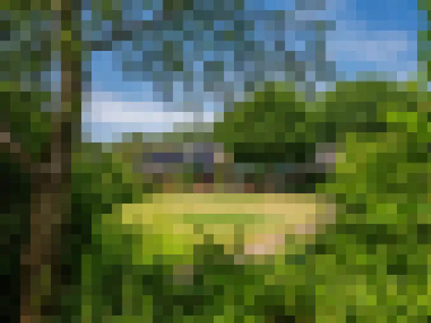 Onderweg 10 Schoorl thumbnail 41