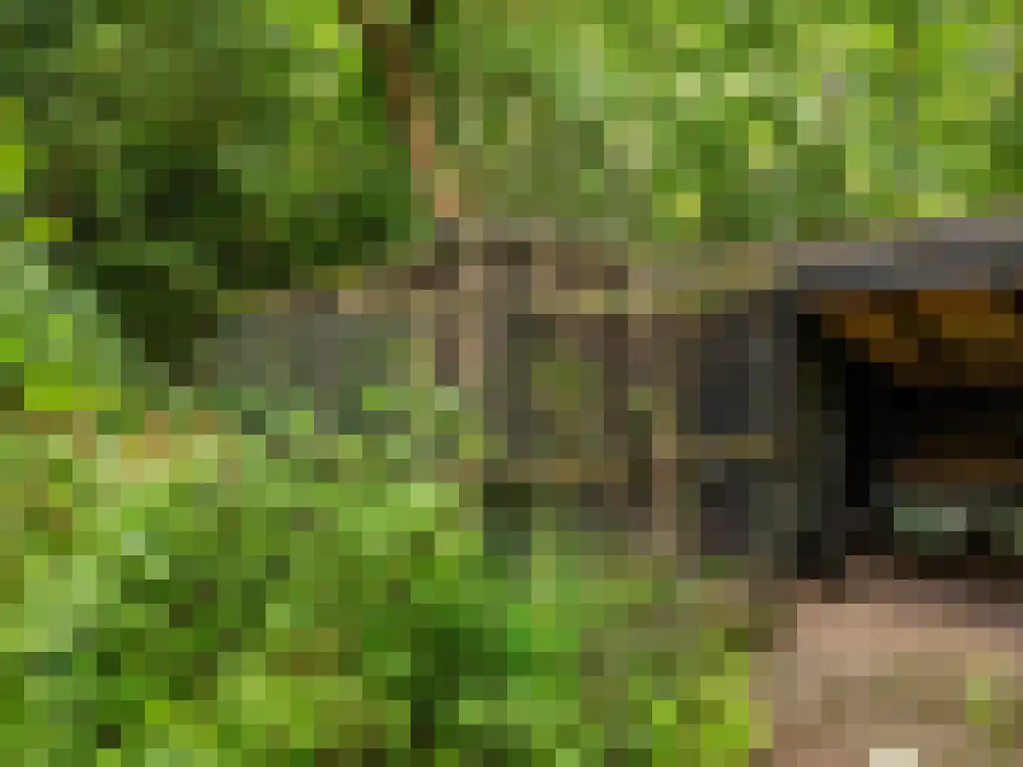 Onderweg 10 Schoorl thumbnail 43