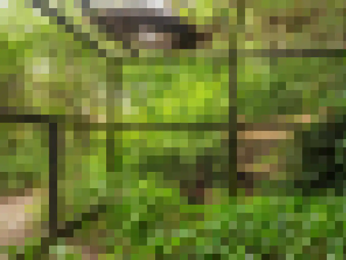 Onderweg 10 Schoorl thumbnail 44