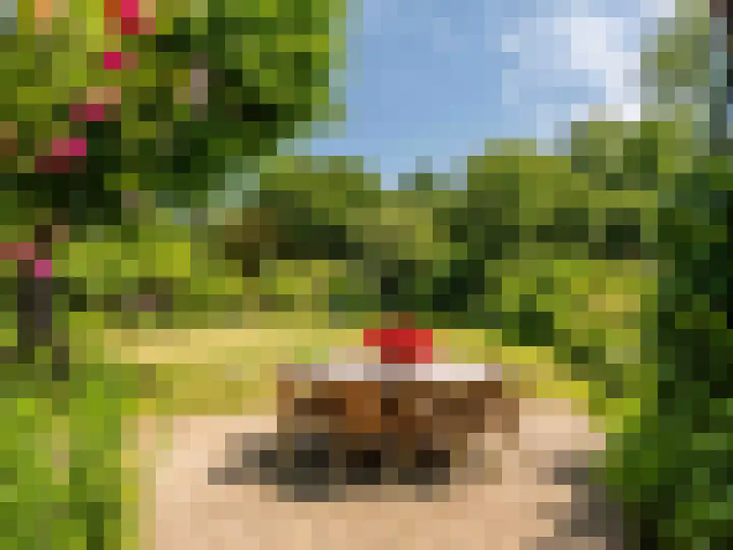 Onderweg 10 Schoorl thumbnail 48