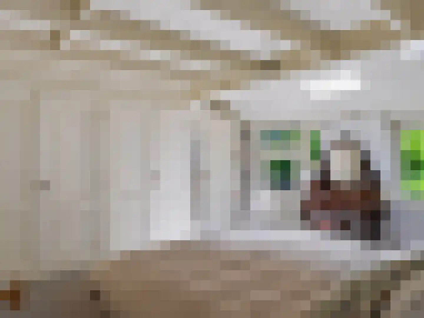 Onderweg 10 Schoorl thumbnail 5