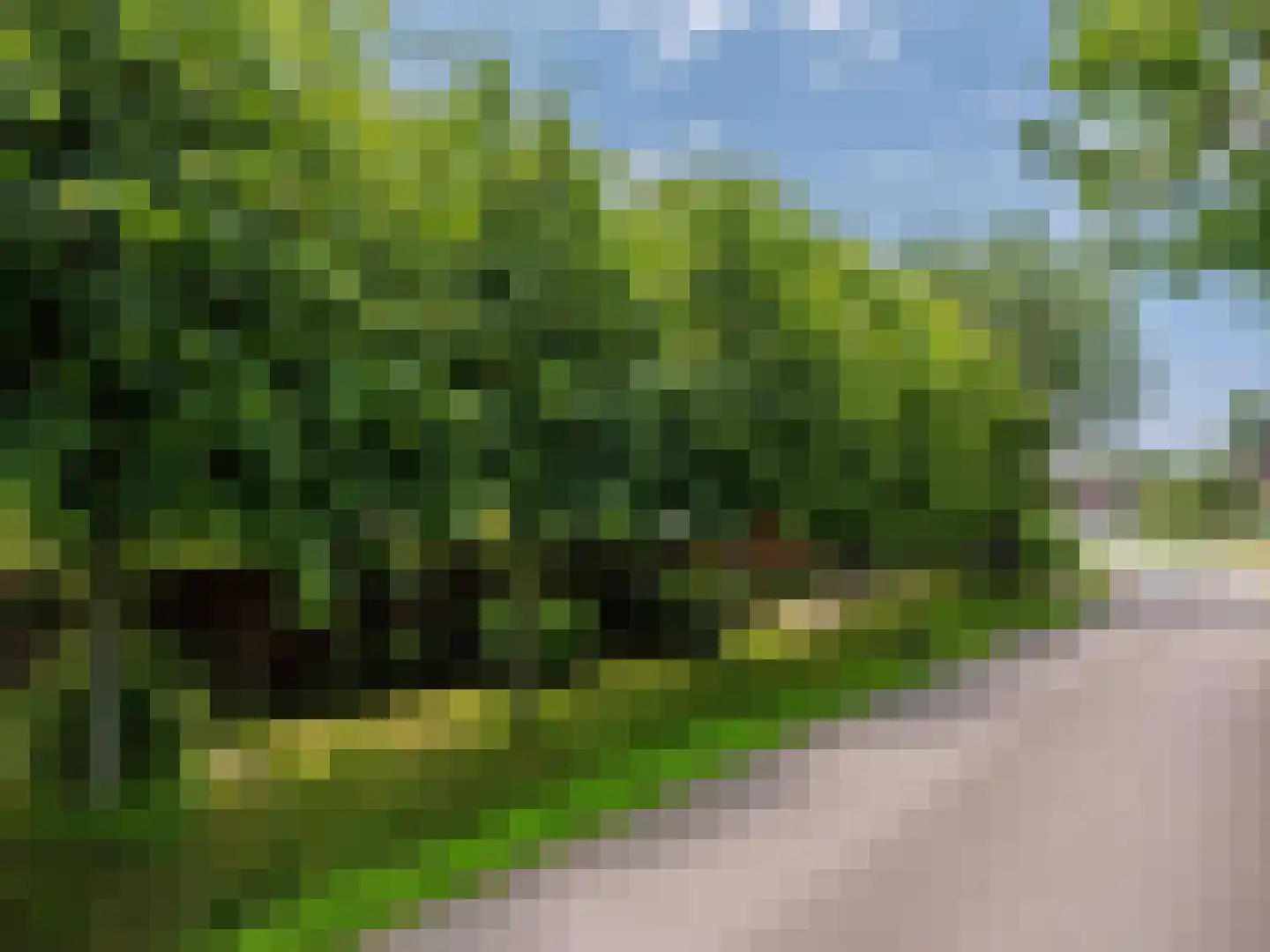 Onderweg 10 Schoorl thumbnail 50