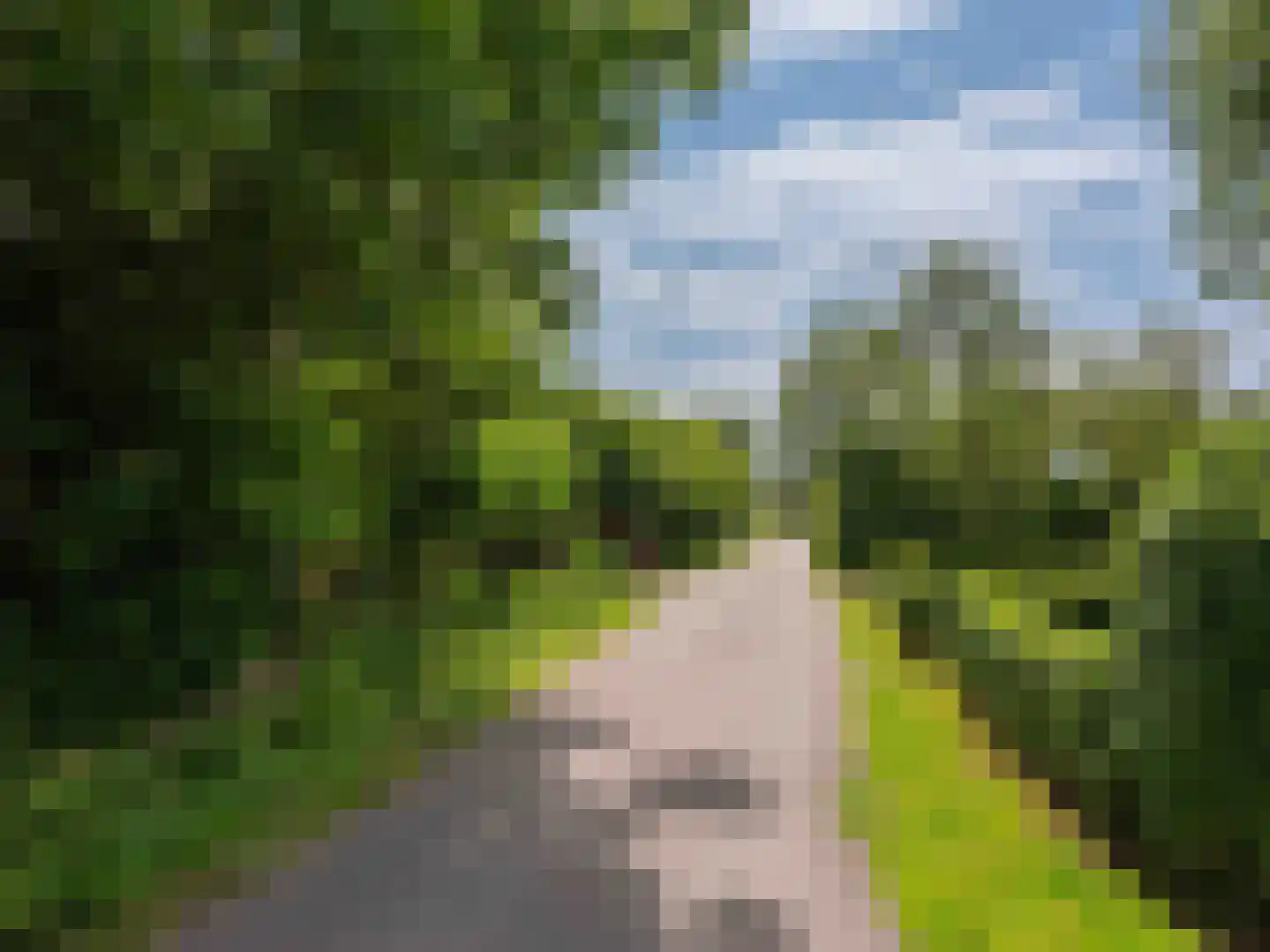 Onderweg 10 Schoorl thumbnail 51