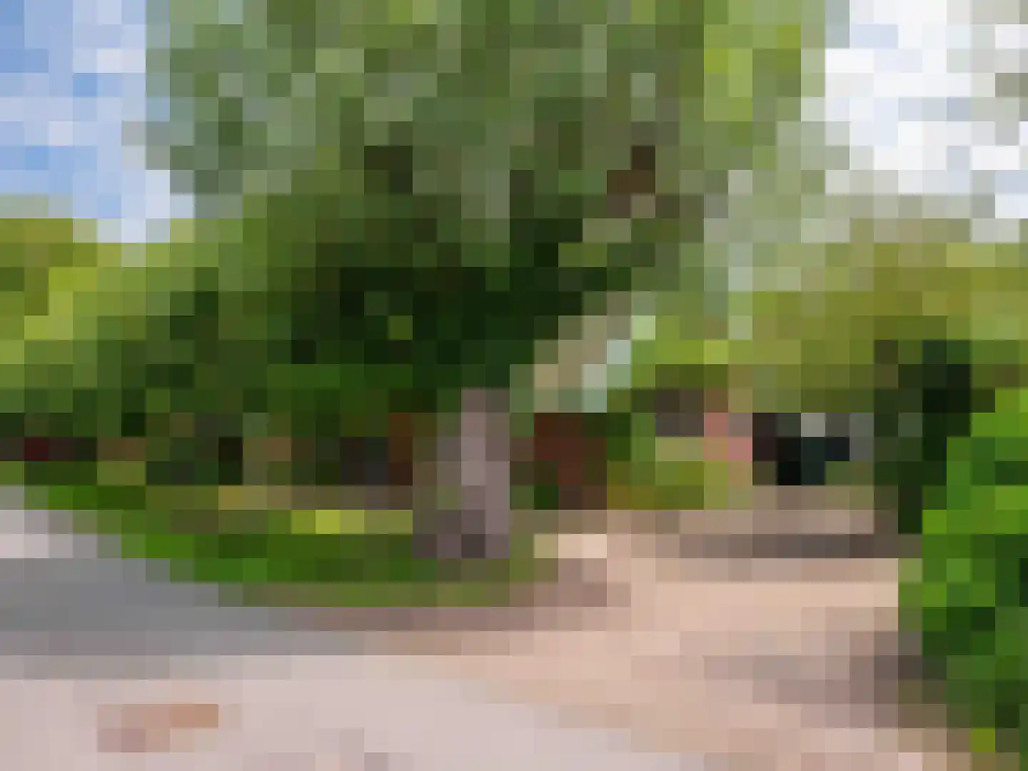 Onderweg 10 Schoorl thumbnail 6