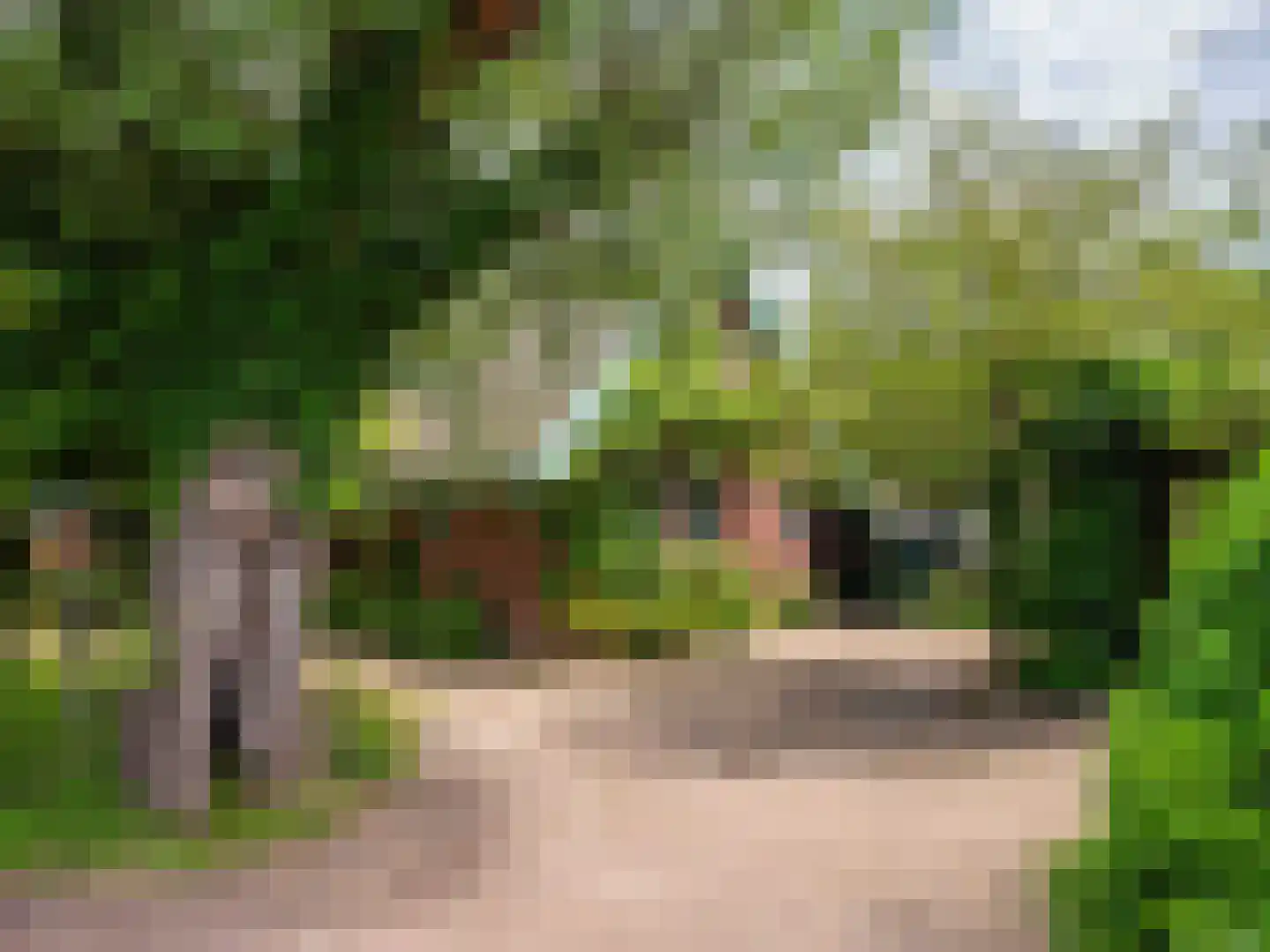 Onderweg 10 Schoorl thumbnail 8