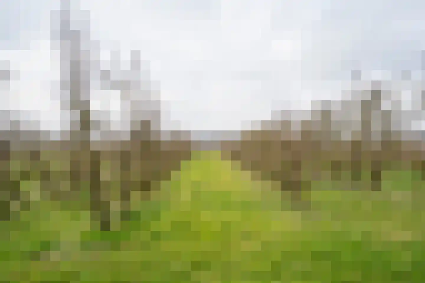 Onderweg 12 Arkel thumbnail 42
