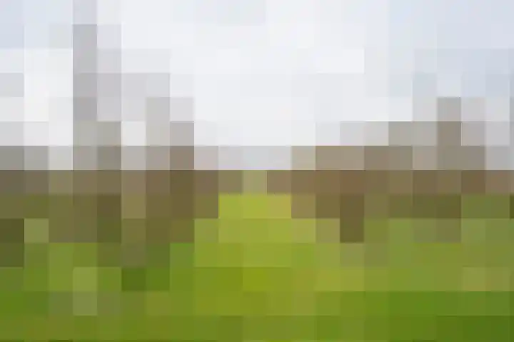 Onderweg 12 Arkel thumbnail 42