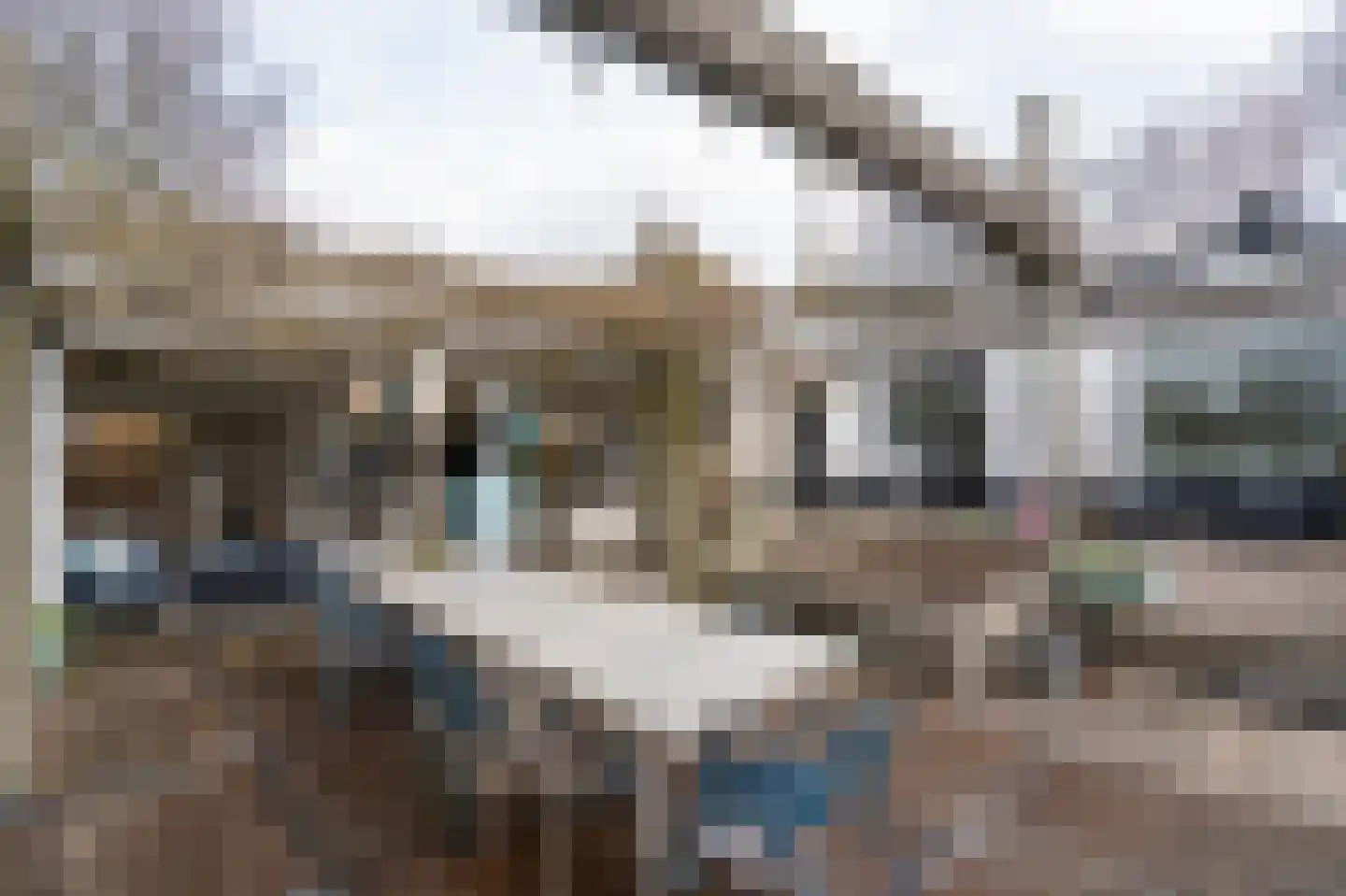 Onderweg 12 Arkel thumbnail 43