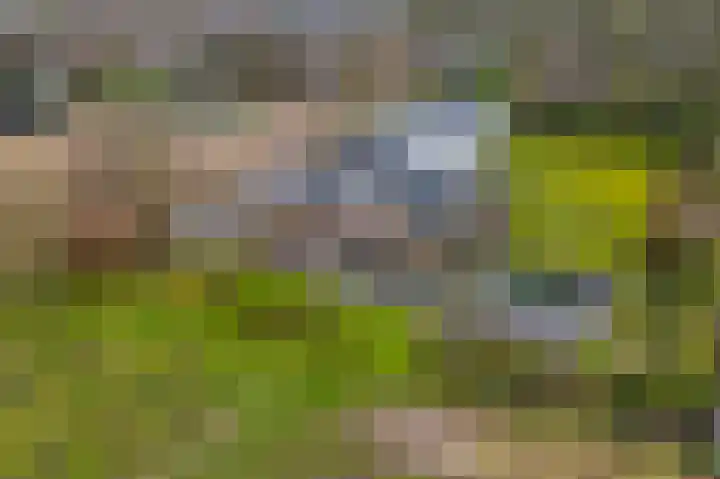 Onderweg 12 Arkel thumbnail 50