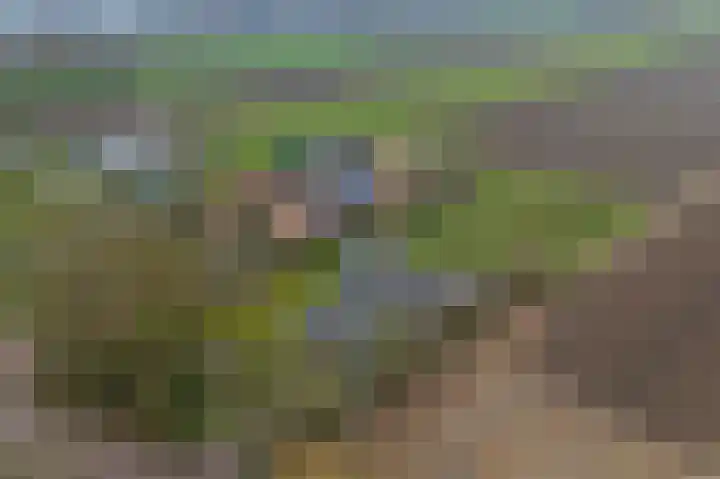 Onderweg 12 Arkel thumbnail 52