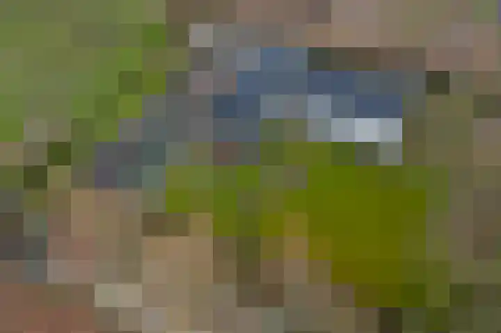 Onderweg 12 Arkel thumbnail 53