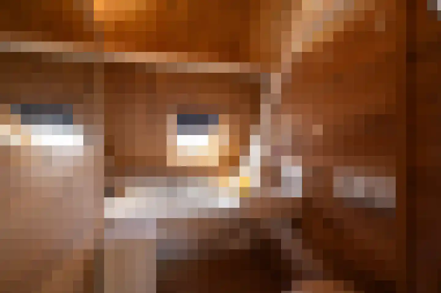 Onderweg 12 Kedichem thumbnail 13