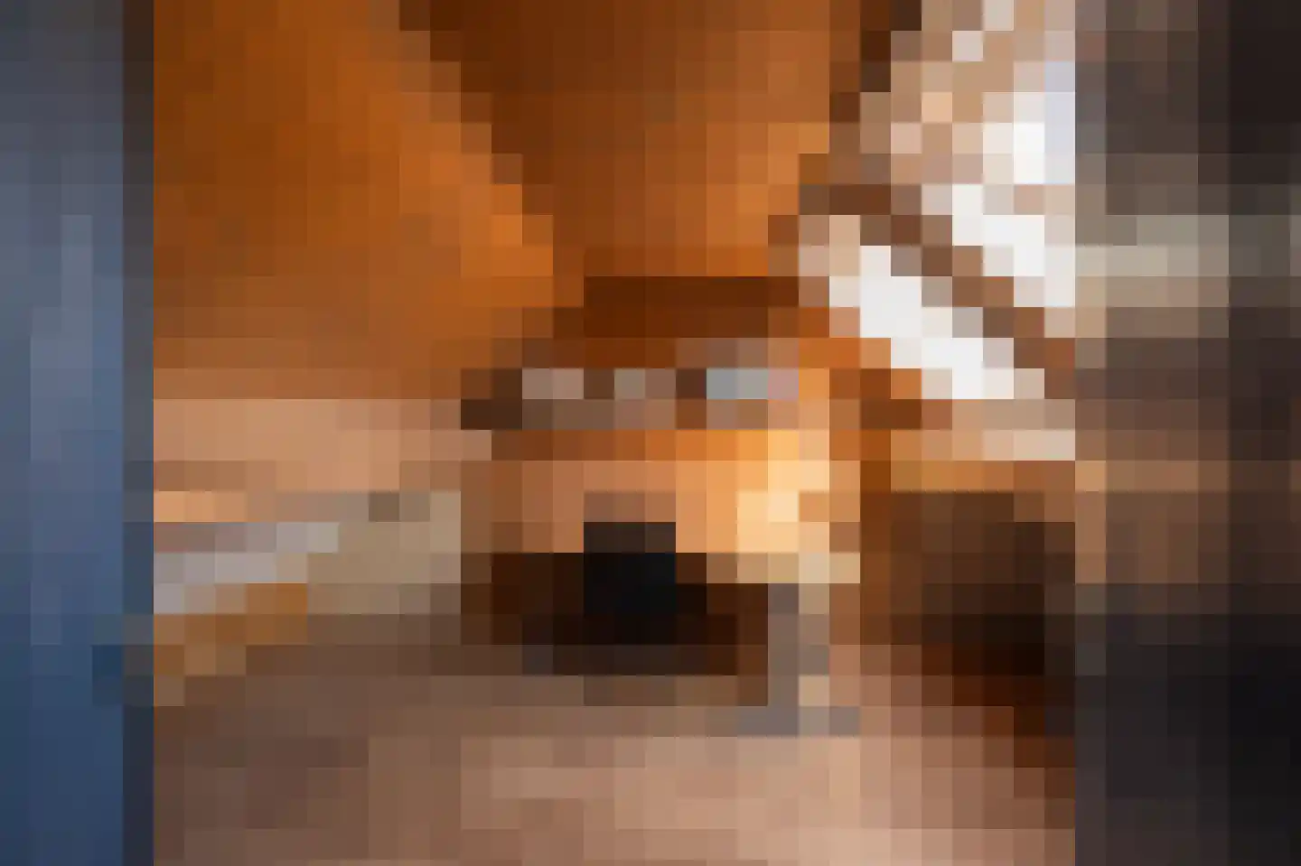 Onderweg 12 Kedichem thumbnail 25