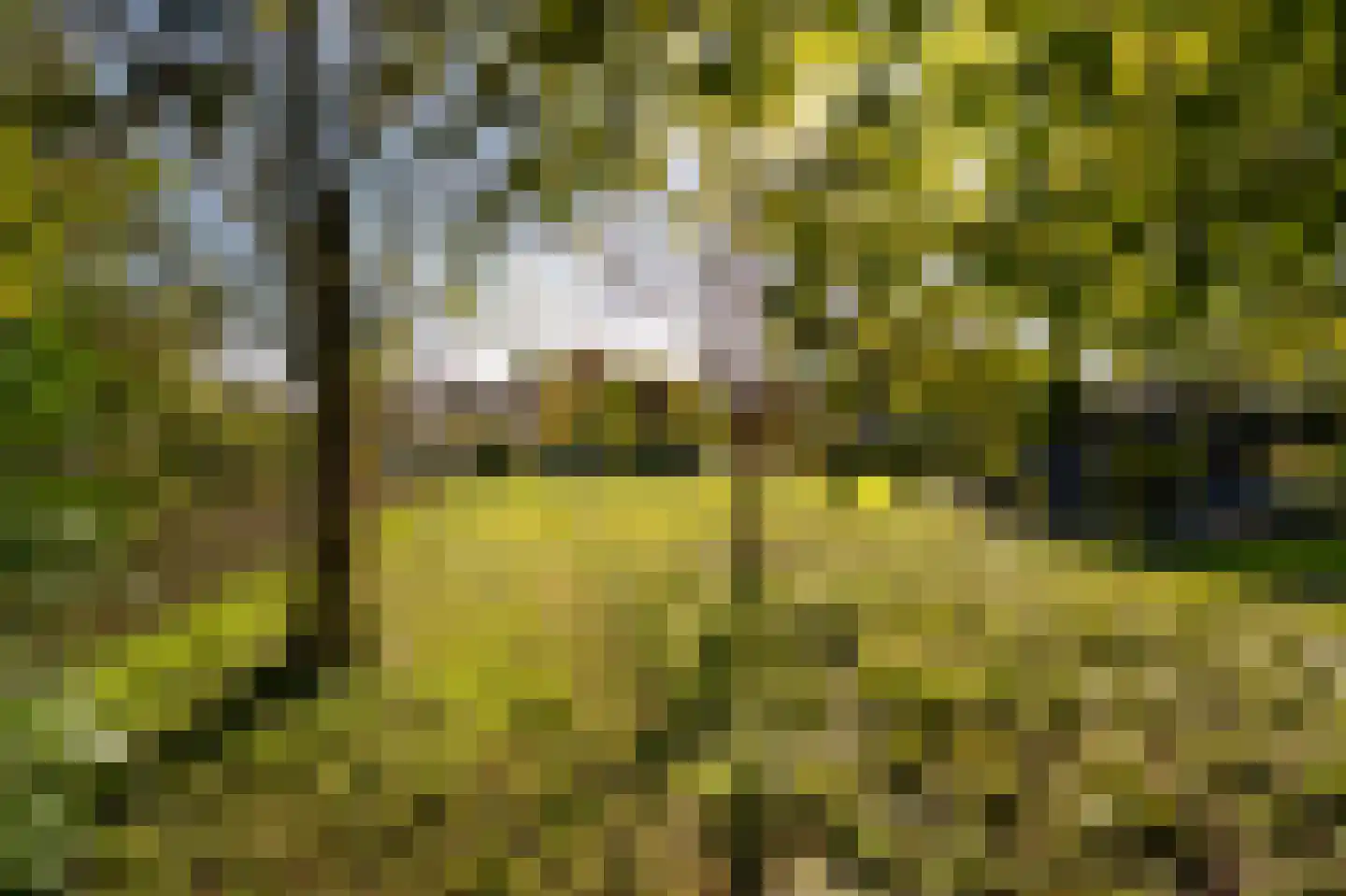 Onderweg 12 Kedichem thumbnail 40