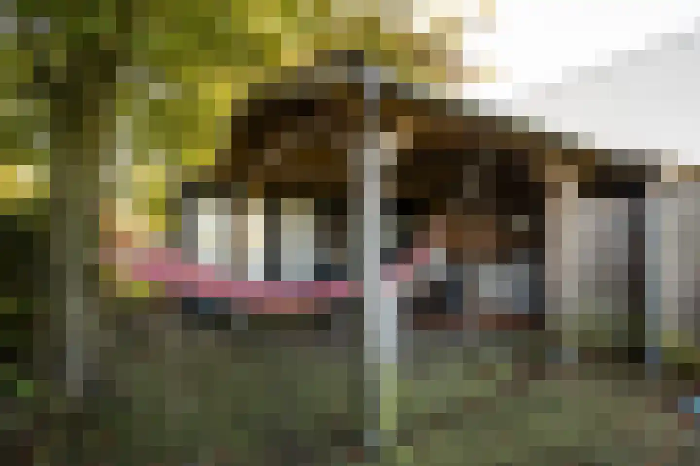 Onderweg 12 Kedichem thumbnail 42