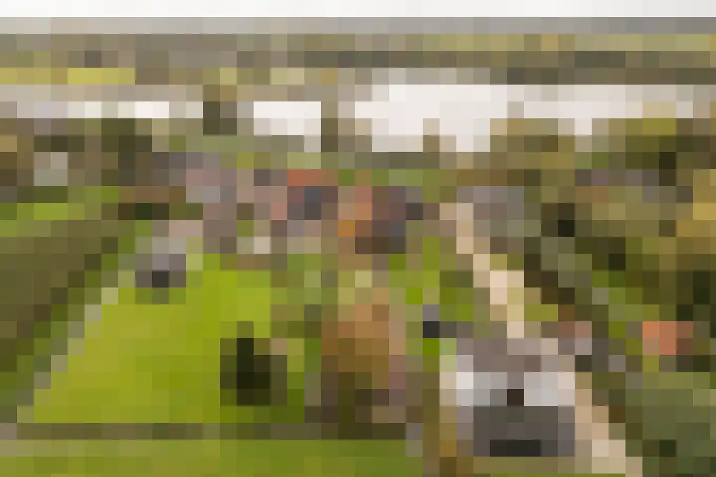 Onderweg 12 Kedichem thumbnail 55