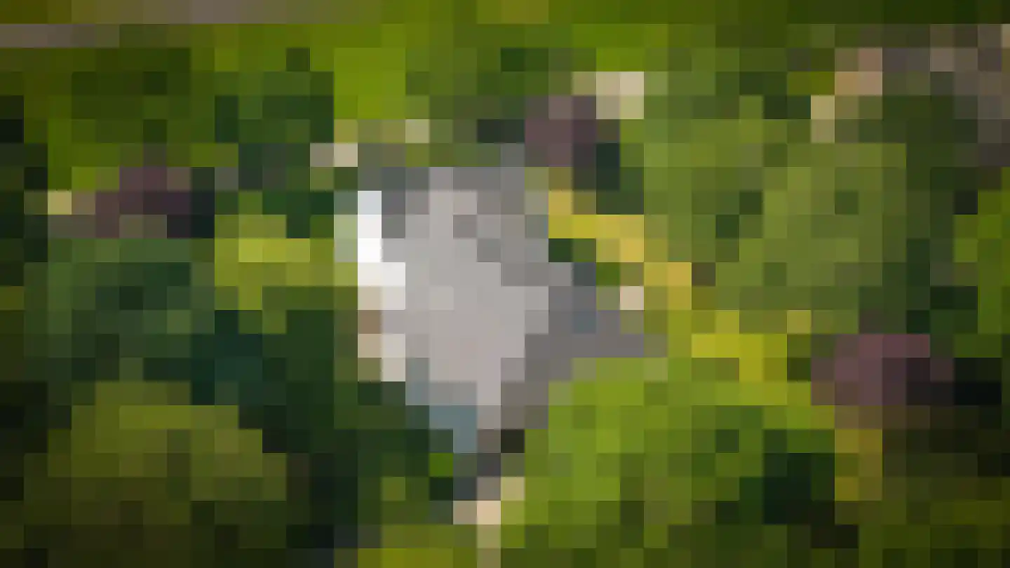 Onderweg 19 Herwijnen thumbnail 4