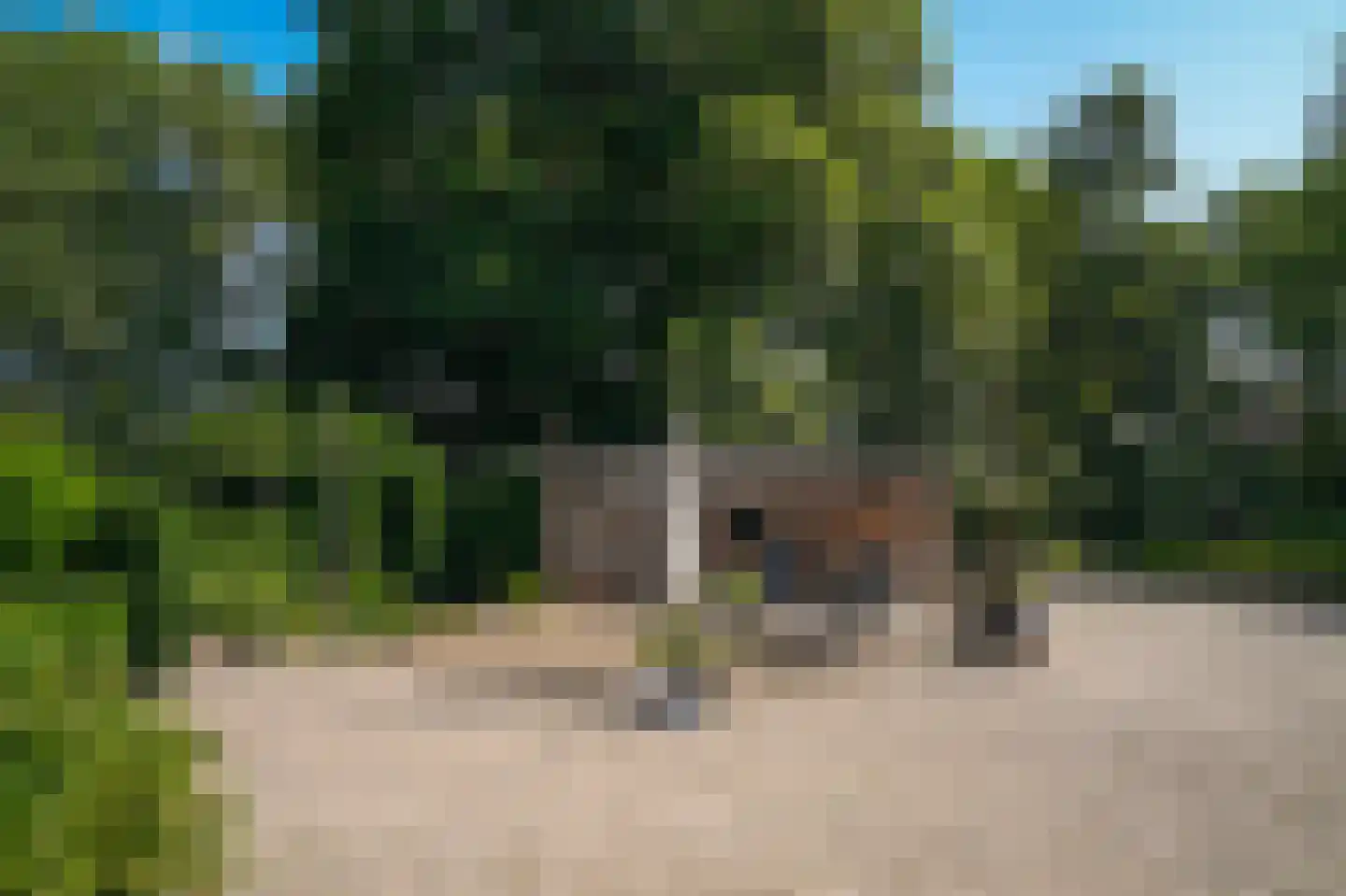 Onderweg 19 Herwijnen thumbnail 47